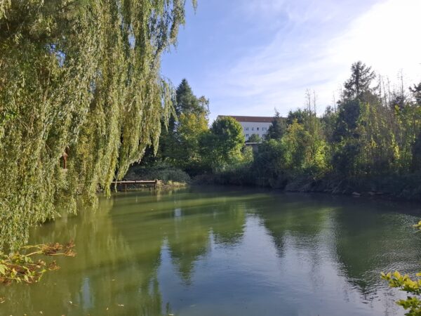 Helbra Stephanstraße: Haus in Alleinlage mit Naturteich und großem Garten zu verkaufen!